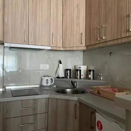 Apartment Vlada *
